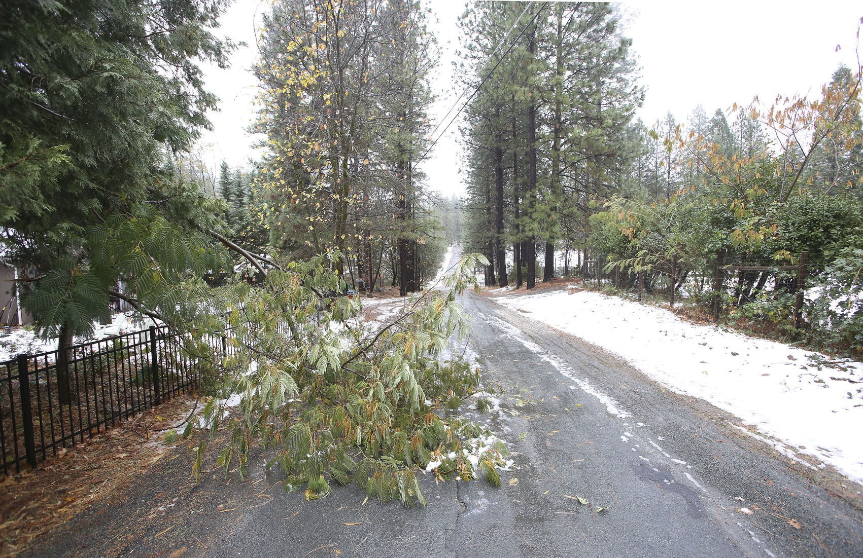 Wintry Weather